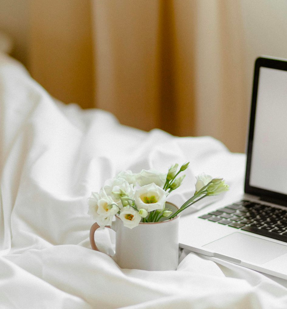 Gestion complète de vos biens